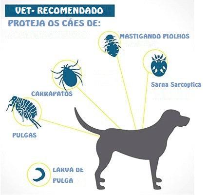 Coleira de prevenção de pulgas e carícias para cães e gatos - quick preference