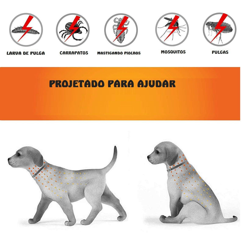 Coleira de prevenção de pulgas e carícias para cães e gatos - quick preference